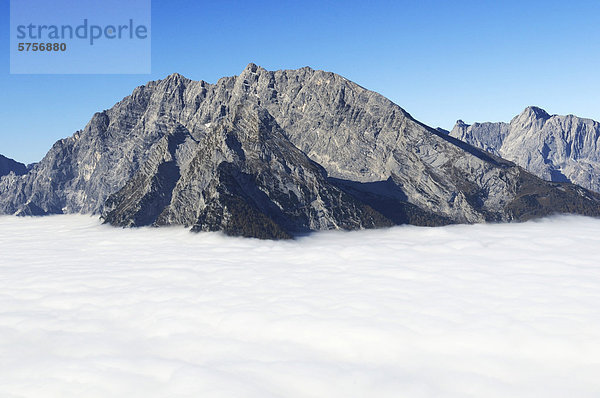 Blick vom Jenner in das darunterliegende Nebelmeer und die Watzmann-Ostwand  Berchtesgadener Land  Oberbayern  Bayern  Deutschland  Europa