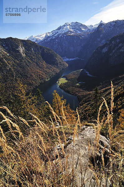 Blick von der Archenkanzel hinunter nach Sankt Bartholomä  Berchtesgadener Land  Oberbayern  Bayern  Deutschland  Europa