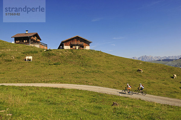 Mountainbiker  Hohe Salve  Kitzbühler Alpen  Tirol  Österreich  Europa