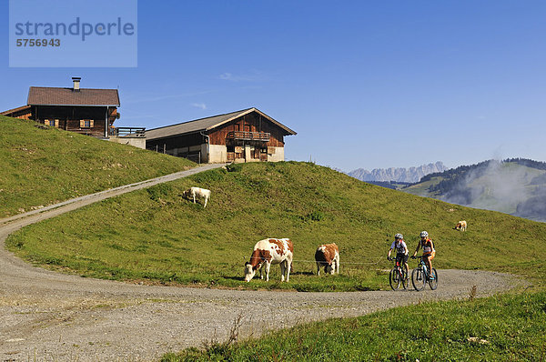 Alte Bauernhöfe  Hohe Salve  Kitzbühler Alpen  Tirol  Österreich  Europa