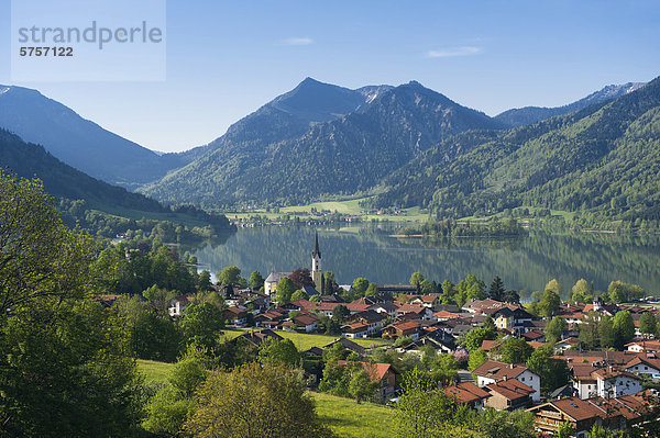 Blick über Dorf und See Schliersee  Bayerische Alpen  Oberbayern  Bayern  Deutschland  Europa