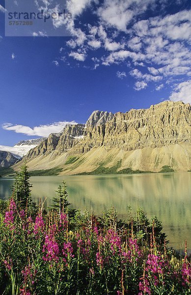 Bow See und Crowfoot Berg  Banff-Nationalpark  Alberta  Kanada.