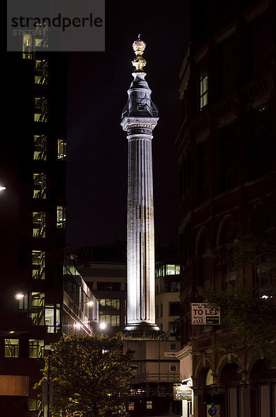 Monument  Nachtaufnahme  London  Südengland  England  Großbritannien  Europa