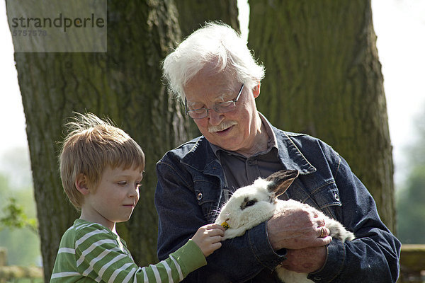 Großvater mit Enkel im Kinderbauernhof  Wilhelmsburg  Hamburg  Deutschland  Europa