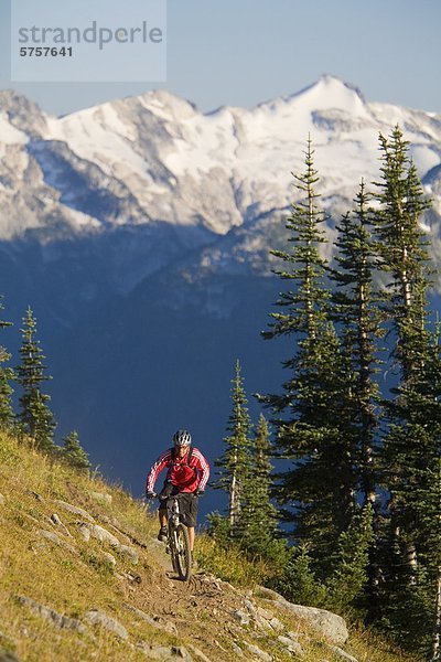 Mountainbiken in Whistler Britisch-Kolumbien  Kanada.