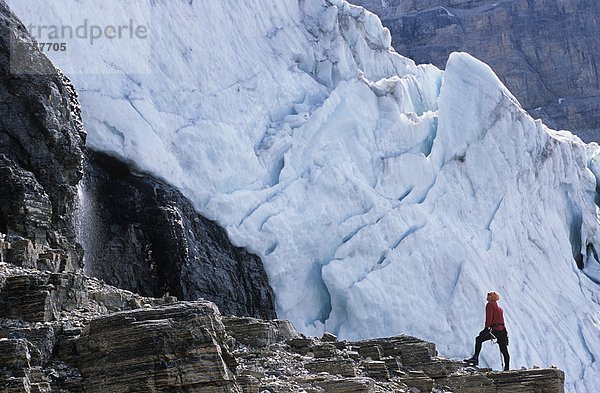 Männliche Wanderer steht auf Felsen-Kante mit massiven Athabasca-Gletscher im Hintergrund  Kanadische Rocky Mountains  Alberta  Kanada.