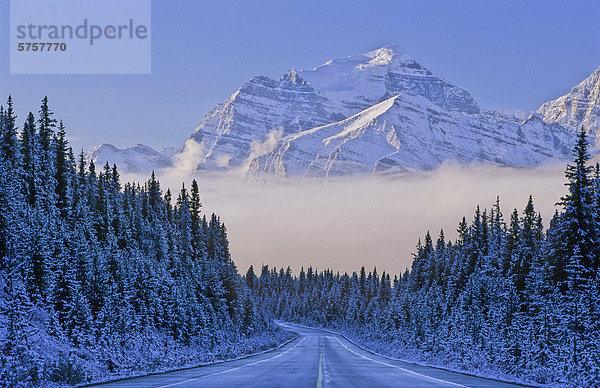 Icefields Parkway und Mt-Tempel nach einer frischen Schneedecke  Banff Nationalpark  Alberta  Kanada.