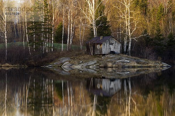 Baum See Spiegelung Außenaufnahme Kanada Ontario Sauna