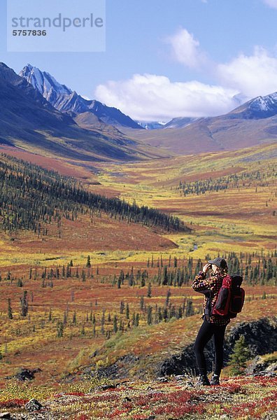 Junge Frau in der Nähe von North Fork übergeben  südlichen Ogilvie Mountains  Yukon  Kanada Wandern.