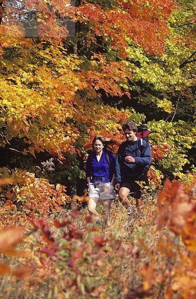 Junges Paar Wandern im Herbst in Algonquin Park  Ontario  Kanada.