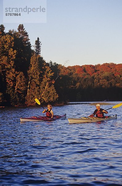 Young couple sea-kayaking in autumn  Muskoka  Ontario  Canada.