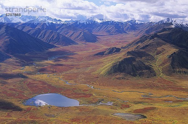 Obere Blackstone River Valley in Herbst  südlichen Ogilvie Mountains  Yukon  Kanada.