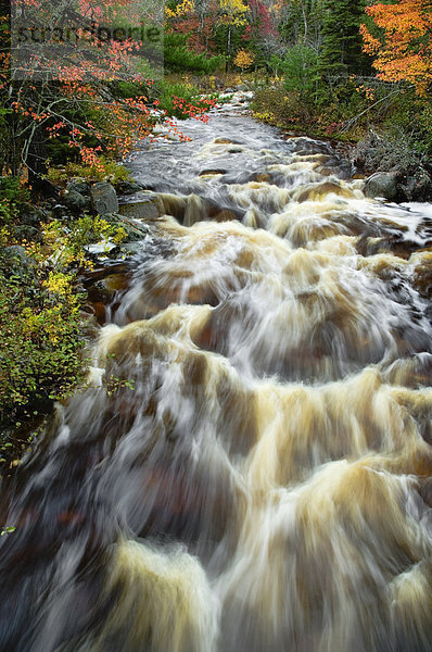 Mary Ann River. Kap-Breton-Highlands-Nationalpark  Nova Scotia  Kanada.