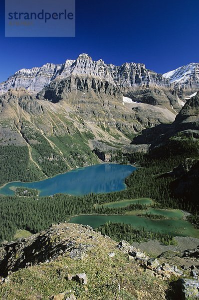 Mount Huber  Lake O'Hara und Mary Lake aus ganzer Seele Prospect  Yoho Nationalpark  Britisch-Kolumbien  Kanada.