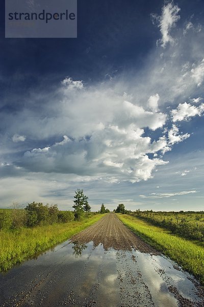 Landstraße nach Regen Sturm in der Nähe von Cochrane  Alberta  Kanada.