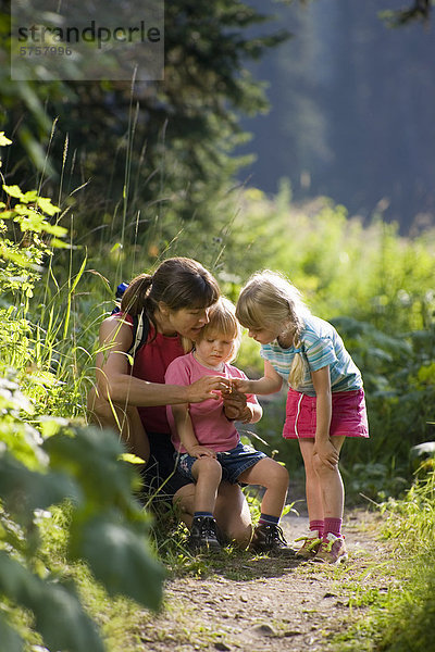 Familie  Wandern in der Eidechse-Strecke nahe Fernie  Britisch-Kolumbien  Kanada.