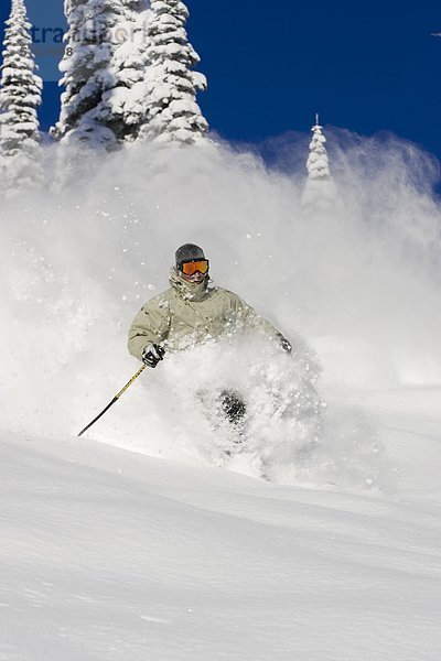 Junger Mann Ski Tiefe Pulver in Fernie Alpine Resort  Fernie  British Columbia  Kanada.