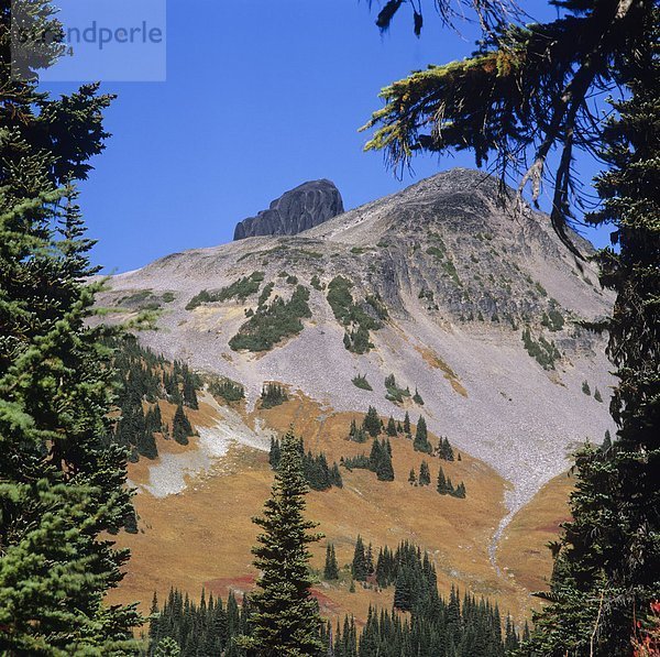 Schwarzer Stoßzahn in der Ferne  Garibaldi Provinzpark  Küste-Berge  Britisch-Kolumbien  Kanada.