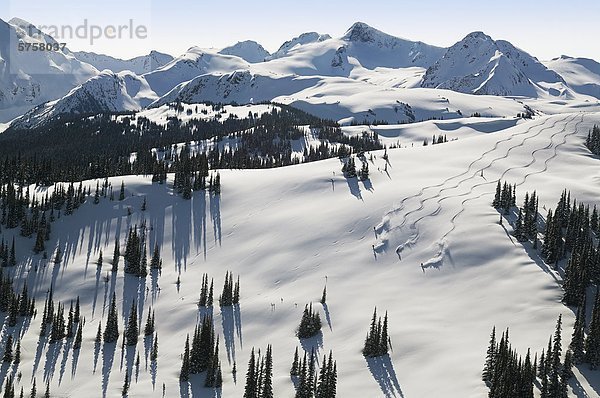 Luftbild der Skifahrer in Flöte Schüssel  Whistler Mountain  British Columbia  Kanada.
