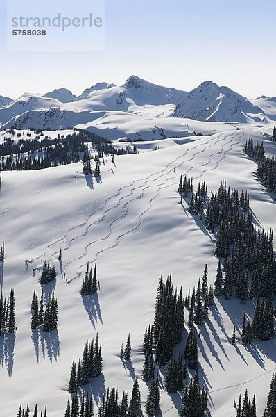 Luftbild der Skifahrer in Flöte Schüssel  Whistler Mountain  British Colunbia  Kanada.