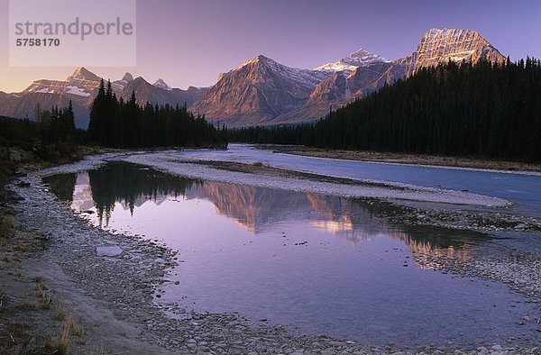 Canadian Rockies reflektiert in Athanbasca Fluss im Jasper Nationalpark  Alberta  Kanada.