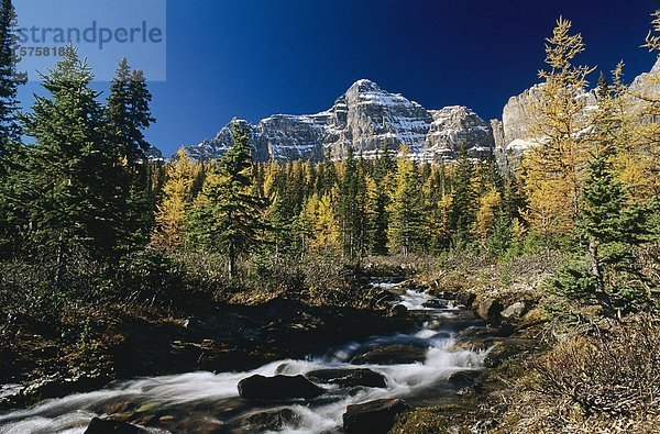 Paradise Creek  Banff Nationalpark  Alberta  Kanada.