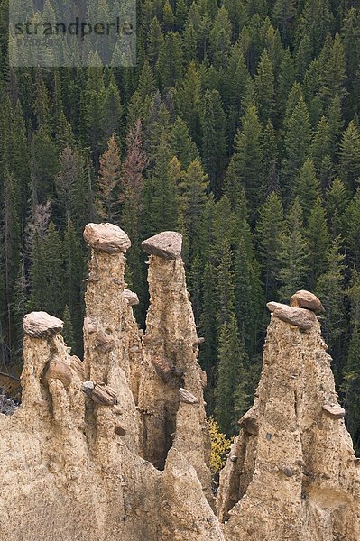 Leanchoil Hoodoos  Hoodoo Creek. Yoho Nationalpark  Britisch-Kolumbien  Kanada.