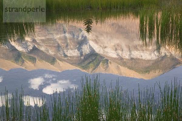 Reflexion der Hawk Ridge in kleinen Teich  Kootenay Nationalpark  British Columbia  Kanada.