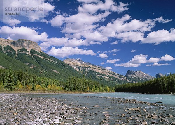 Kanada  Alberta  Jasper Nationalpark  Atabasca River mit Blick auf die endlose Kette Ridge.