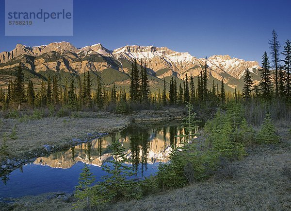 Miette Range  Jasper Nationalpark  Alberta  Kanada.
