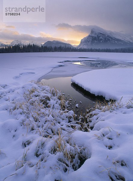 Vermilion Seen und Feuchtgebiete im Winter  Banff Nationalpark  Alberta  Kanada.