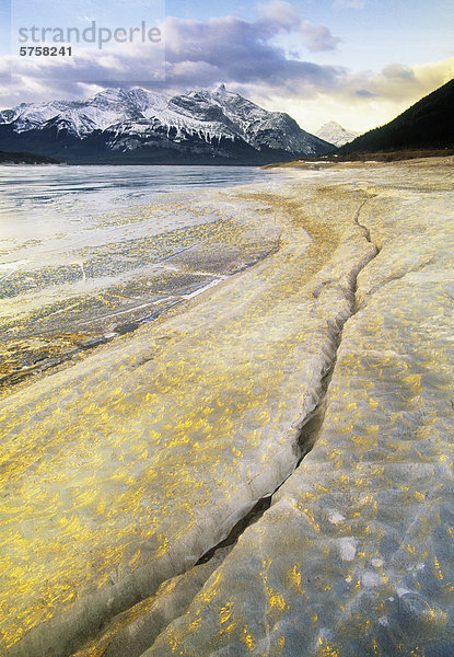 Kootenay Plains Ecological Reserve im Winter Lake Abraham und Mt. Mitchener  Alberta  Kanada.