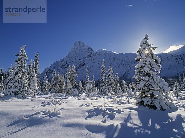 Mount Chephren und dem Mistaya River im Winter  Banff Nationalpark  Alberta  Kanada.