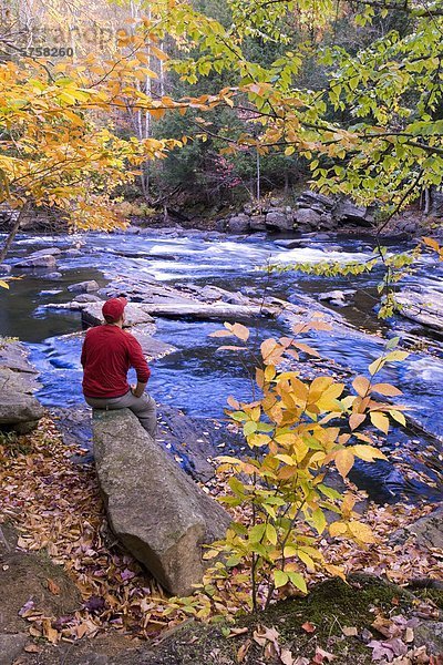 Kanada  Ontario  Algonquin Provincial Park  ein junger Mann sitzt auf einem Felsen die Herbstfarben am He Oxtongue River zu bewundern.