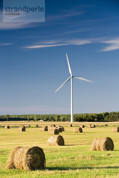 Windturbine Windrad Windräder nahe Stadt Heu Bündel Wiese Bruce Peninsula Nationalpark Kanada Ferndale Ontario