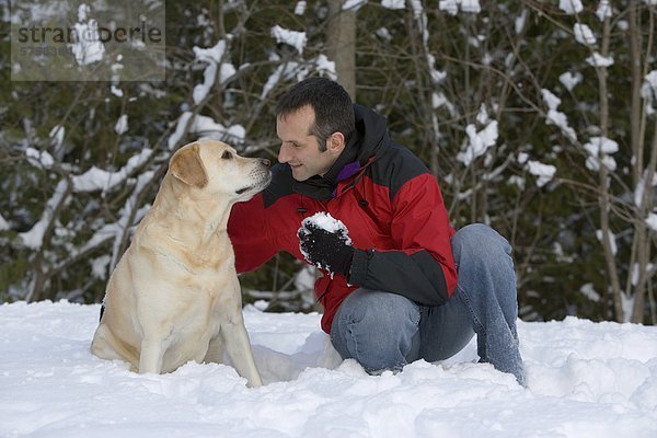 Winter Mann Organisation organisieren Hund jung Golden Retriever Halbinsel Schnee