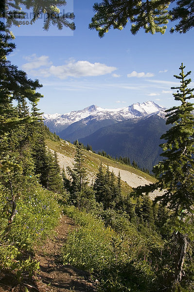 Whistler Hinterland im Sommer bietet einen atemberaubenden Hintergrund für viele Arten von alpine Freizeitaktivitäten wie Wandern und Mountain biken und Trail-Läufer  British Columbia  Kanada.