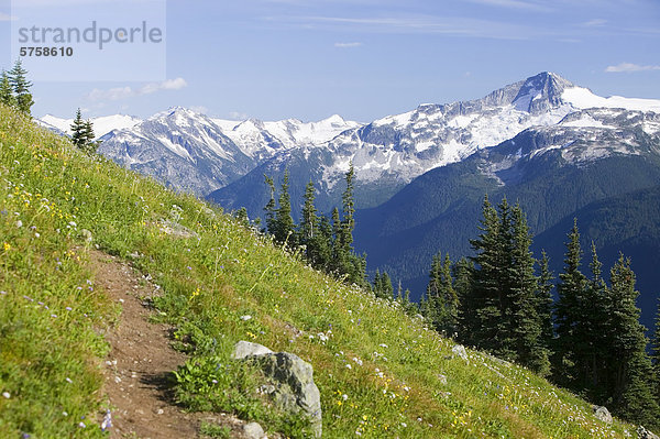 Whistler Hinterland im Sommer bietet einen atemberaubenden Hintergrund für viele Arten von alpine Freizeitaktivitäten wie Wandern und Mountain biken und Trail-Läufer  British Columbia  Kanada.