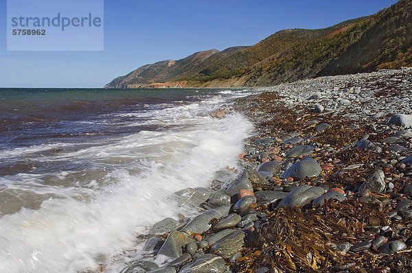 Ozean Küste Bach Herbst Atlantischer Ozean Atlantik Kanada Nova Scotia Neuschottland