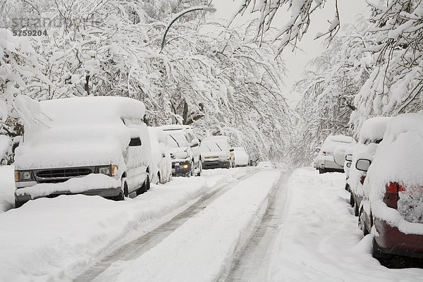 Mit Autos  Bäume und Street Schnee bedeckt nach einem frühen Winter Schneesturm  Point Grey  Vancouver  British Columbia  Kanada.