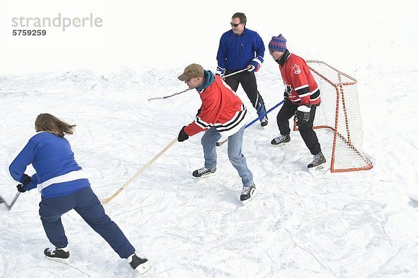 See 1 3 gefroren Hockey spielen