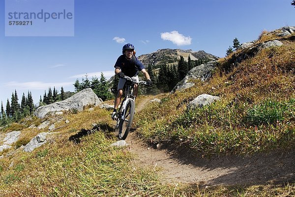 Mountainbiker beginnt den Abstieg zum Khyber-Pass. Whistler  British Columbia  Kanada.