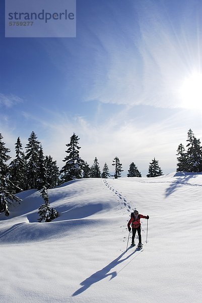 Schneeschuhwandern auf Hollyburn Mountain  Cypress Provincial Park  West Vancouver  British Columbia  Kanada.