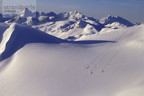 Skifahrer am Coast Mountains  British Columbia  Kanada.