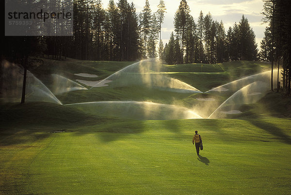 Einsamer Golfspieler  Kimberly  British Columbia  Kanada.