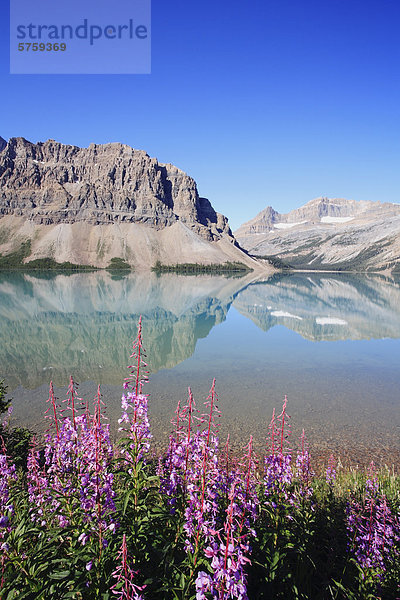 Bow Lake mit Crowfoot Berg- und Gletscherwelt im Hintergrund  Banff Nationalpark  Alberta  Kanada.