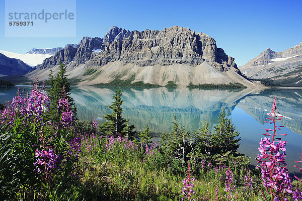 Bow See und Crowfoot Berg  Banff-Nationalpark  Alberta  Kanada.