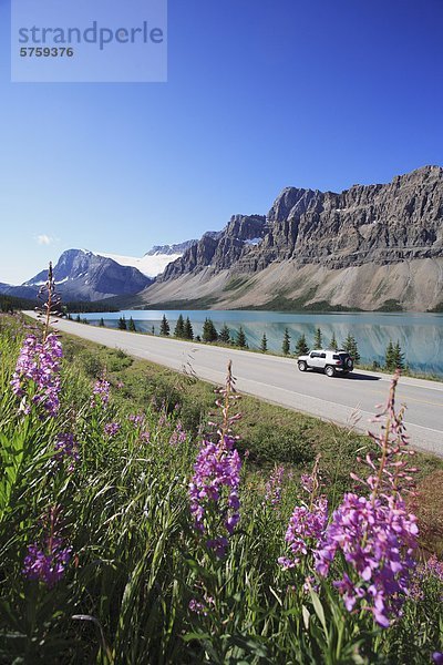 Ein SUV reist entlang dem Icefields Parkway an einem schönen Sommertag neben Bow Lake im Banff Nationalpark  Alberta  Kanada.