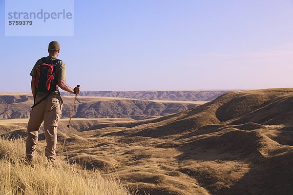 Wanderer mit Blick auf die Coulees und die Badlands von South Saskatchewan River diesen gemischten Gras Prärie Lebensraum gefährdet ist in Alberta und Saskatchewan  in der Nähe von Sandy Point Park auf den Prärien von Alberta nördlich von Medicine Hat  Alberta  Kanada.