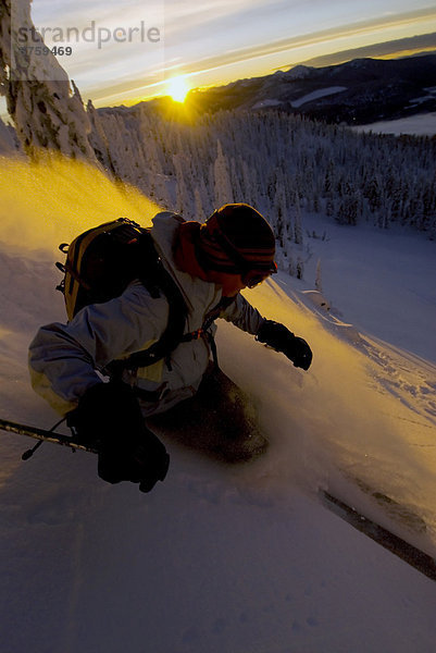 Frau Whitewater Skitouren in Pulverform mit Sonnenuntergang und Alpenglühen auf Schnee  Abfahrt vom Abend Ridge  Nelson  British Columbia  Kanada.